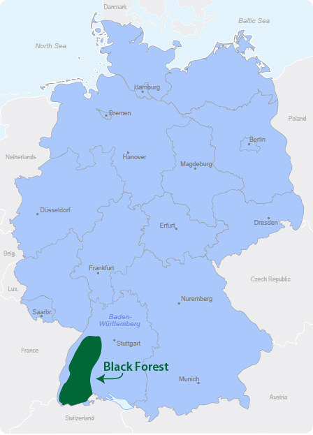 מפת היער השחור